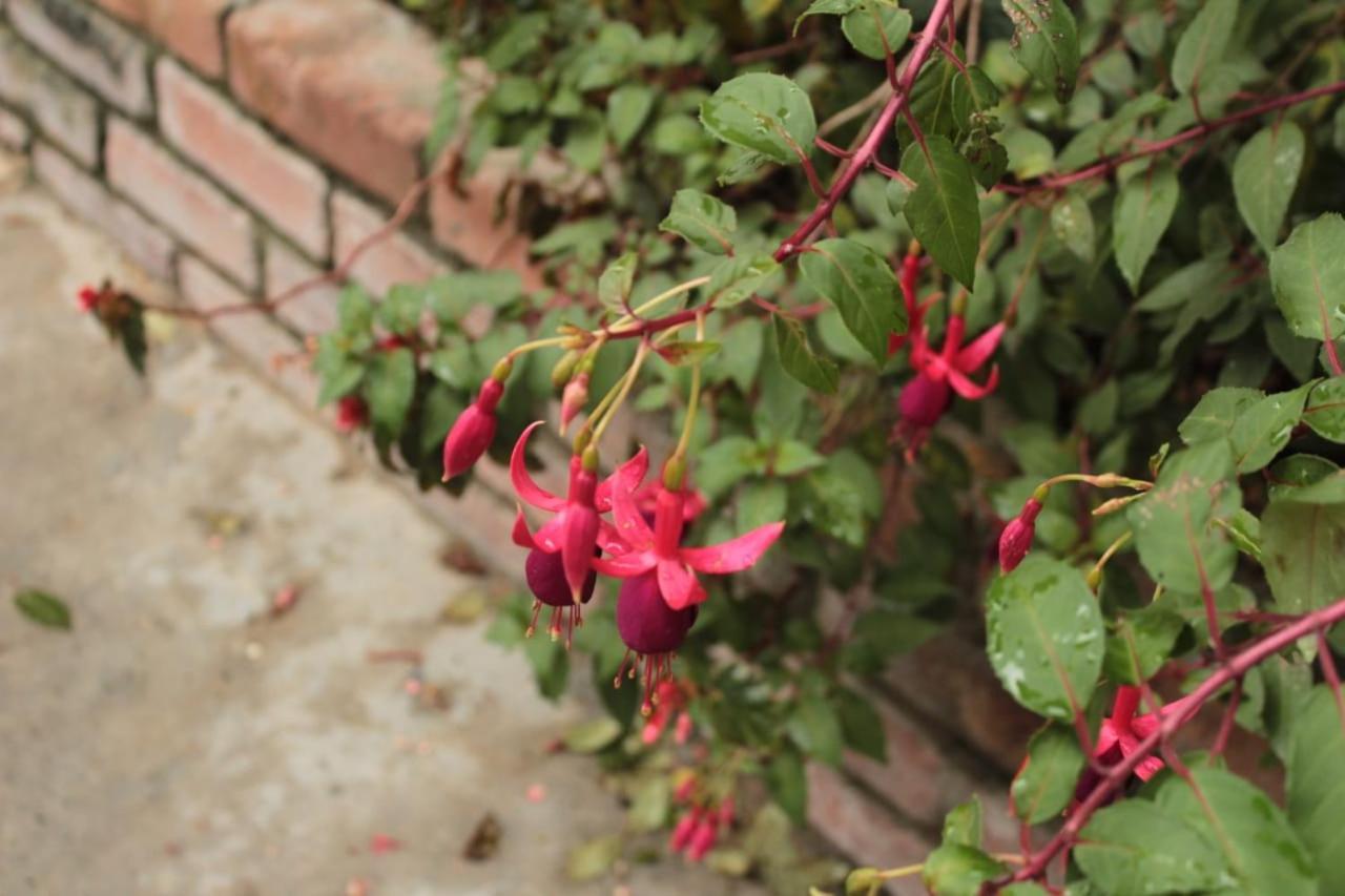 Finca Hotel El Diamante Calarcá Dış mekan fotoğraf